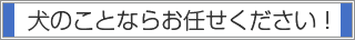 ���̂��ƂȂ炨�C�����������I
