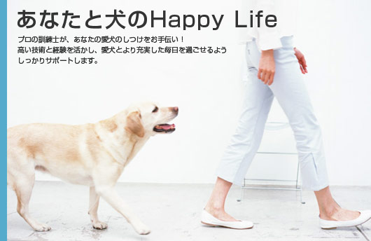���Ȃ��ƌ���Happy Life �v���̌P���m���A���Ȃ��̈����̂���������`���I�����Z�p�ƌo�����������A�����Ƃ��[�������������߂�����悤��������T�|�[�g���܂��B