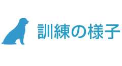 訓練の様子