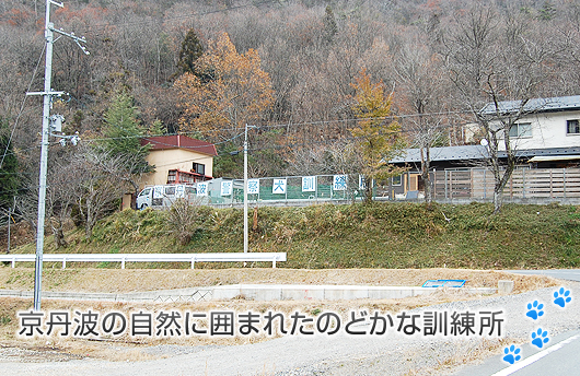 京丹波の自然に囲まれたのどかな訓練所