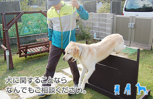 犬に関することならなんでもご相談ください。