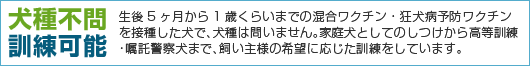 犬種不問 訓練可能 生後5ヶ月から1歳くらいまでの混合ワクチン・狂犬病予防ワクチンを接種した犬で、犬種は問いません。家庭犬としてのしつけから高等訓練･嘱託警察犬まで、飼い主様の希望に応じた訓練をしています。