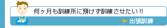 何ヶ月も訓練所に預けず訓練させたい!!