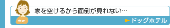 家を空けるから面倒が見れない…