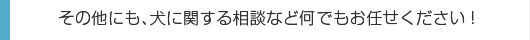 その他にも、犬に関する相談など何でもお任せください!