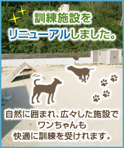 訓練施設をリニューアルしました。自然に囲まれ、広々した施設でワンちゃんも快適に訓練を受けられます。